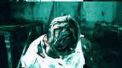 GIF by Frankie Zulferino