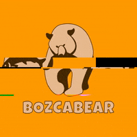 bozcabear bear bozcabear bozca GIF