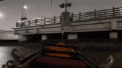 rhode island GIF