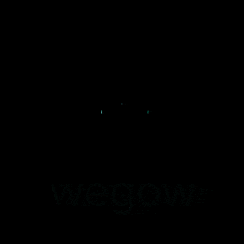 GIF by Wegow