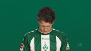 Look Up Werder Bremen GIF by Bundesliga