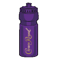Field Goal Game Sticker by Crown Royal