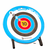 Arrow Target GIF by Stavario