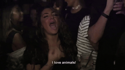 Episode 2 Animal Lover GIF by Jersey Shore Family Vacation