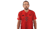 Fc Bayern Love Sticker by Bundesliga