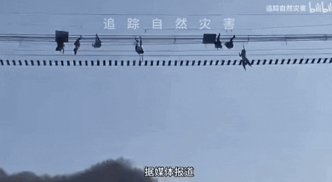 yj_jane giphyupload GIF