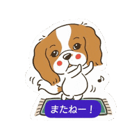Cavalierkingcharlesspaniel Sticker