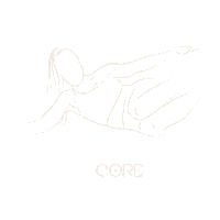 Core Sticker by Shadowcamp