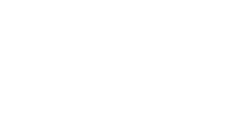 Nueva Sticker