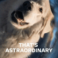 Car Automobile GIF by Opel
