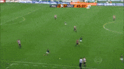 Sao Paulo Palestra GIF by SE Palmeiras