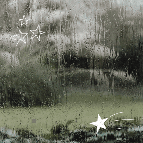 felixissofrfr giphyupload green aesthetic rain GIF