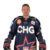 Ice Hockey Fight Sticker by Ravensburg Towerstars