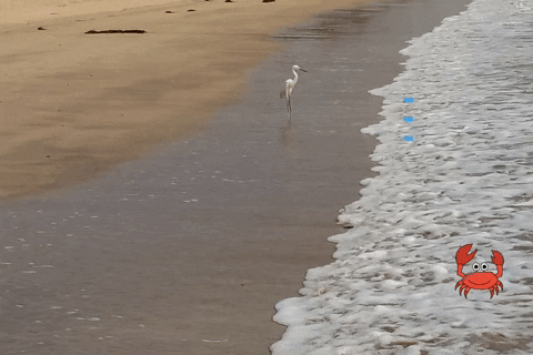 saumyazee giphyattribution GIF