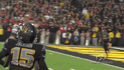 hawks GIF by University of Iowa Hawkeyes Athletics