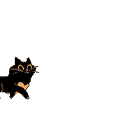 Cat Nin Sticker by FVO Alimentos