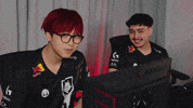 League Of Legends Lol GIF by G2 Esports