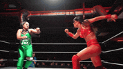 The Obsession Superkick GIF