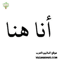 عربي Sticker by VeganArabs