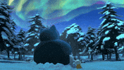 Northern Lights Friends GIF by Pokémon