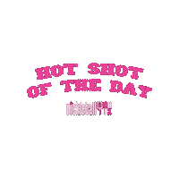 Sticker by pickleball CHIX