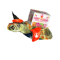 Get Funky Beach Day Sticker by Funky Buddha Brewery