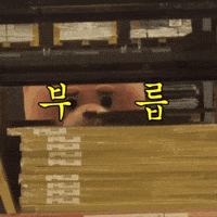 Fun Love GIF