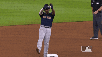 Lets Go Sport GIF by MLB