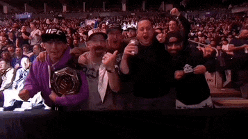 Mixed Martial Arts Sport GIF by UFC