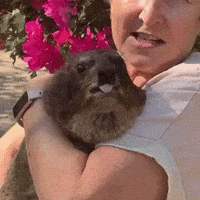Tongue Lick GIF