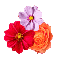 ljubavdesign nature flower flowers aesthetic Sticker