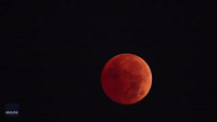 Plane Spotted Flying Over 'Blood Moon' From Western New York