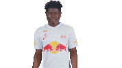 Lets Go Football Sticker by FC Red Bull Salzburg