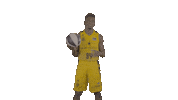 Liga Endesa Basketball Sticker by ACB