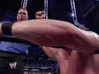 Brock Lesnar Win GIF by WWE