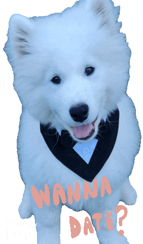 Puppy Valentine Sticker