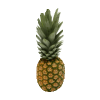 pineapple STICKER by imoji