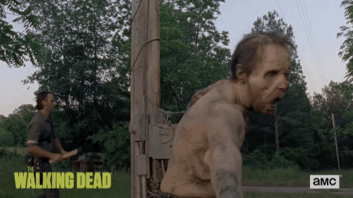 twd GIF by The Walking Dead