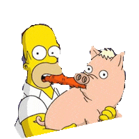 homer STICKER by imoji