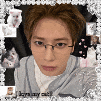 K Pop Cats GIF