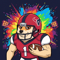 Shiba Inu Football GIF by Doge Pound