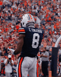 Spider-Man Celebration GIF by Auburn Tigers