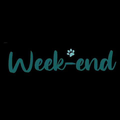 doggyplace giphygifmaker weekend week-end doggyplace GIF