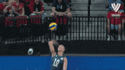 United States Yes GIF by Volleyball World