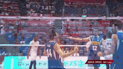 Happy Group Hug GIF by Volleyball World