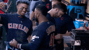 Regular Season Sport GIF by MLB