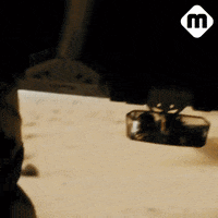 MoussyArabia desert outdoor safari moussyarabia GIF