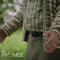 Tv Series What GIF by Eccho Rights