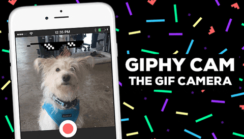 GIF by GIPHY CAM