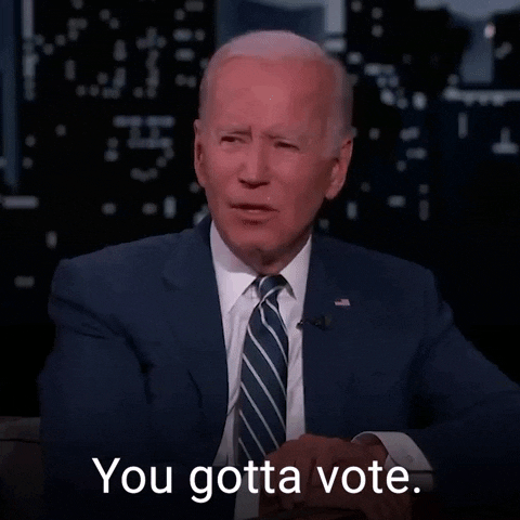 Voting Joe Biden GIF by The Democrats